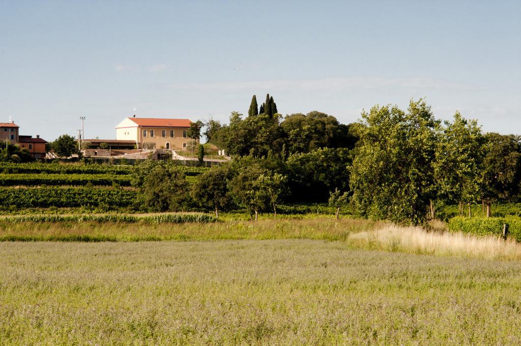 הוילה קסטלנואובו דל גארדה Agriturismo Panorama מראה חיצוני תמונה