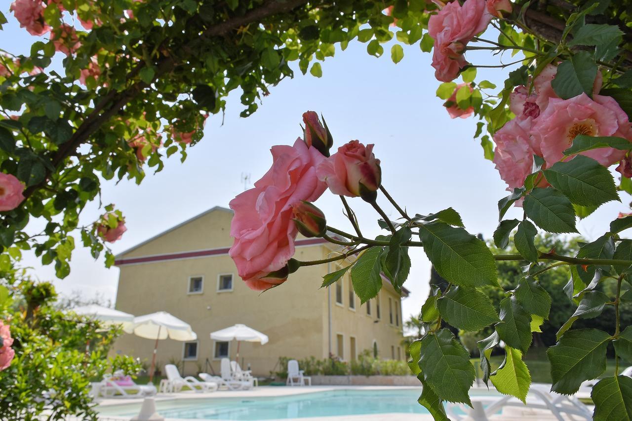 Salionze Agriturismo Panorama מראה חיצוני תמונה